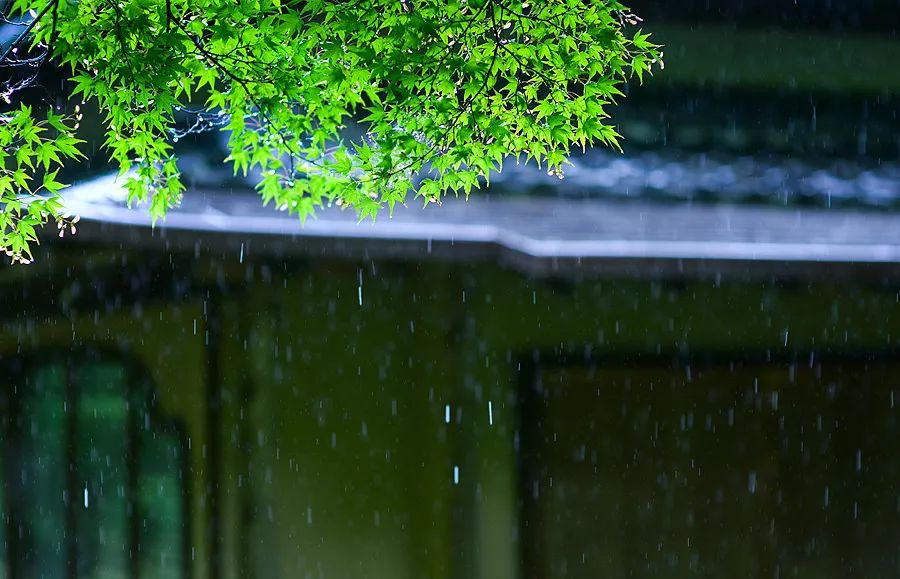 天涯咫尺，如见故人|2019小林摄影总结