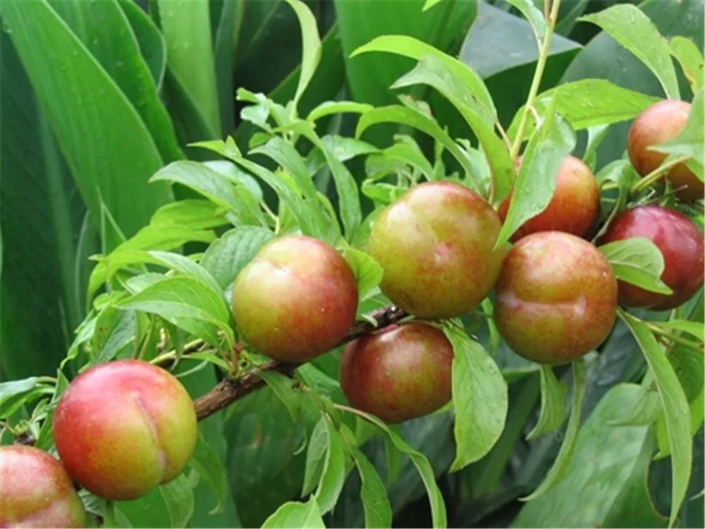 国庆一起去旅游,三都推荐游玩的地方