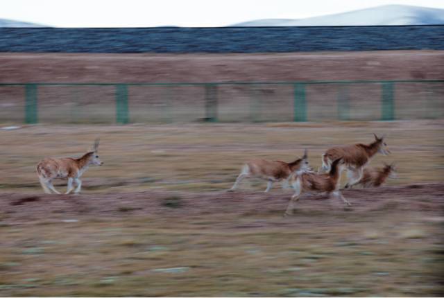 拍照模糊如何去掉,拍照模糊怎么办