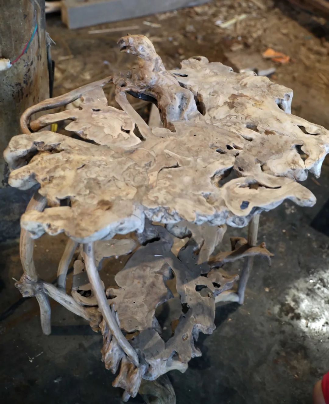 姘戦棿鏍归洉鑹轰汉,鏍归洉鑹轰汉瀹炲彲灏嗘溄鏈ㄥ彉鐝嶅疂