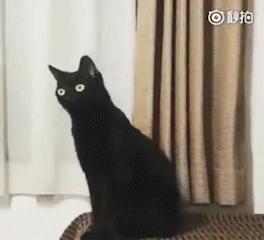 万事屋推荐|性价比最高的日本药妆之一