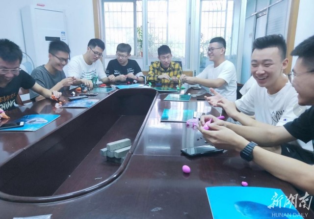 朱鹮是东方白鹤吗,东方宝石朱鹮