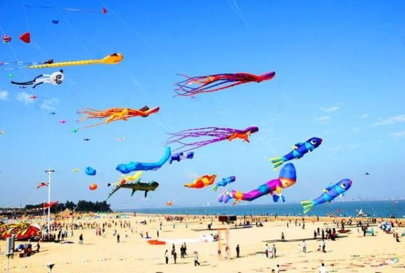 朱鹮是东方白鹤吗,东方宝石朱鹮