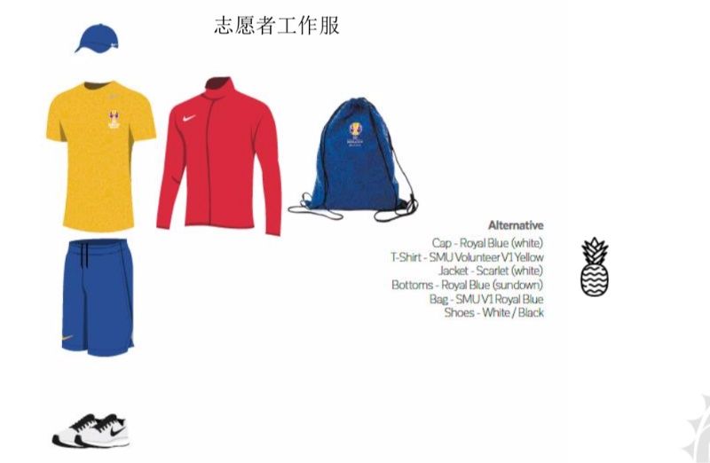 佛山赛区志愿者报名,济南球赛志愿者报名