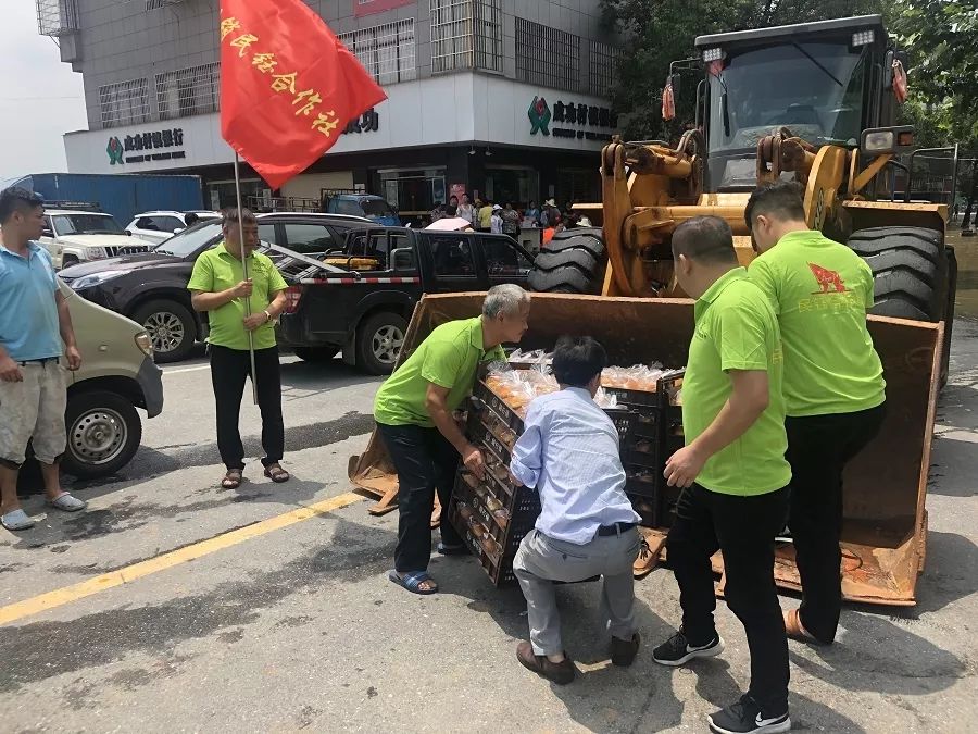 南方的水灾抗洪救灾,全国暴雨抢险救灾工作情况