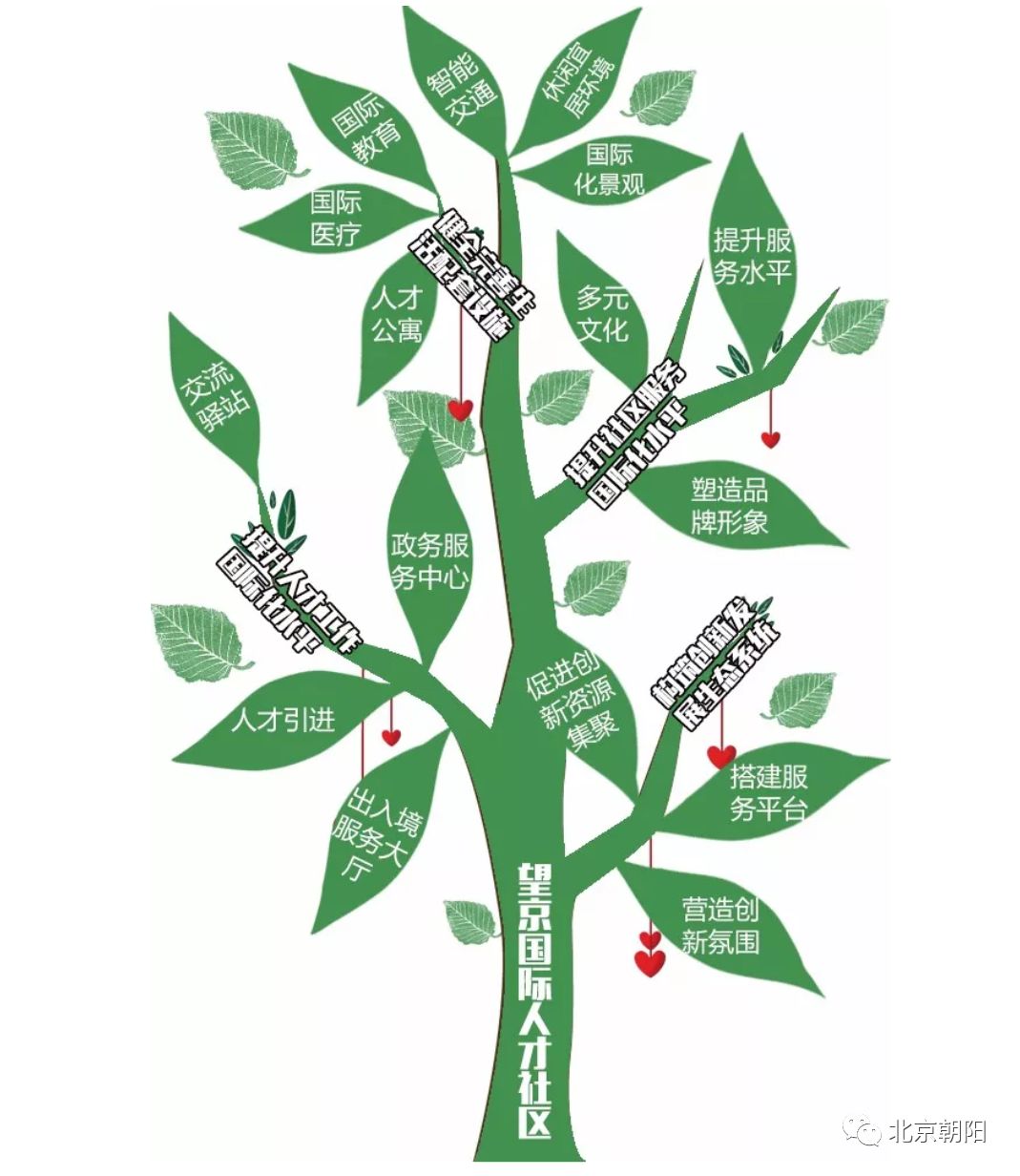 解密！望京其实没有那么“迷”！