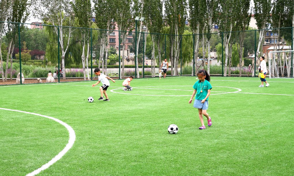 金普足球训练场地,金普新区足球场在哪