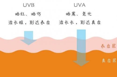 美丽加芬遮瑕霜,臻颜遮瑕保养霜