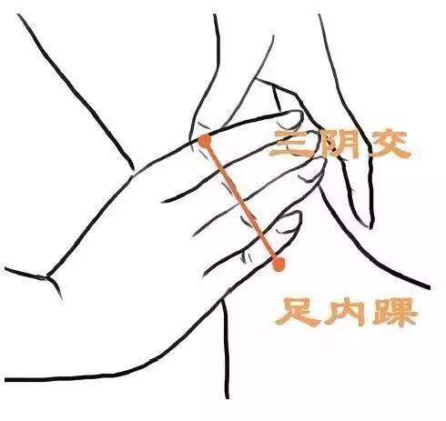 夏天湿气重这几类食物越吃越重,夏天湿气重手痒起疙瘩怎么办