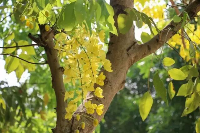 开学动感大片,开学震撼大片