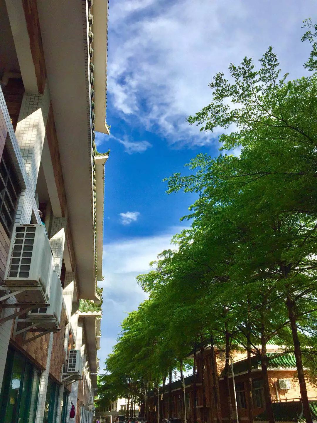 开学动感大片,开学震撼大片