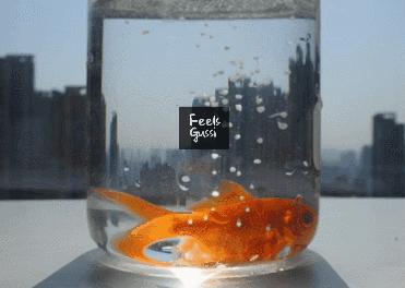 团购|不用手搓，衣服一泡就干净，懒人必备