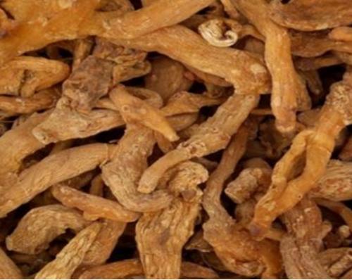 金线莲种植一亩利润多少,金线莲种植新商机