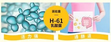 日本“吸油圣斗士”,1天1条,7天瘦出小蛮腰!酸酸甜甜,比果冻还好吃