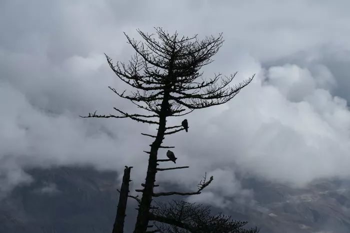 松下fz10002gk,松下fz10002gk发布时间