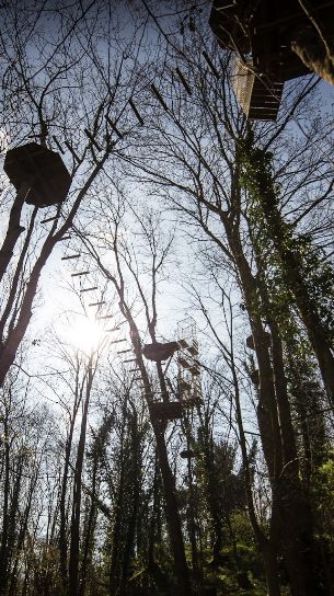 鏍戦《鎺㈤櫓鍏洯娓哥帺,鏍戦《鎺㈤櫓鍏洯娓哥帺鏀荤暐