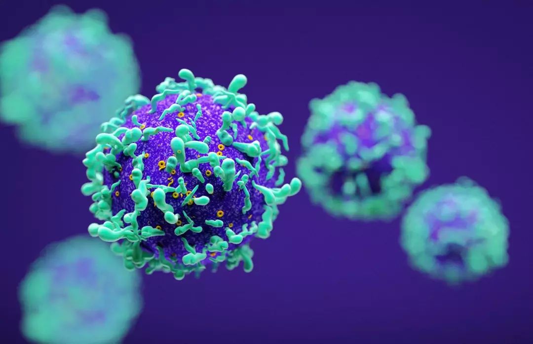 名医专栏|关爱女性健康提高生活质量