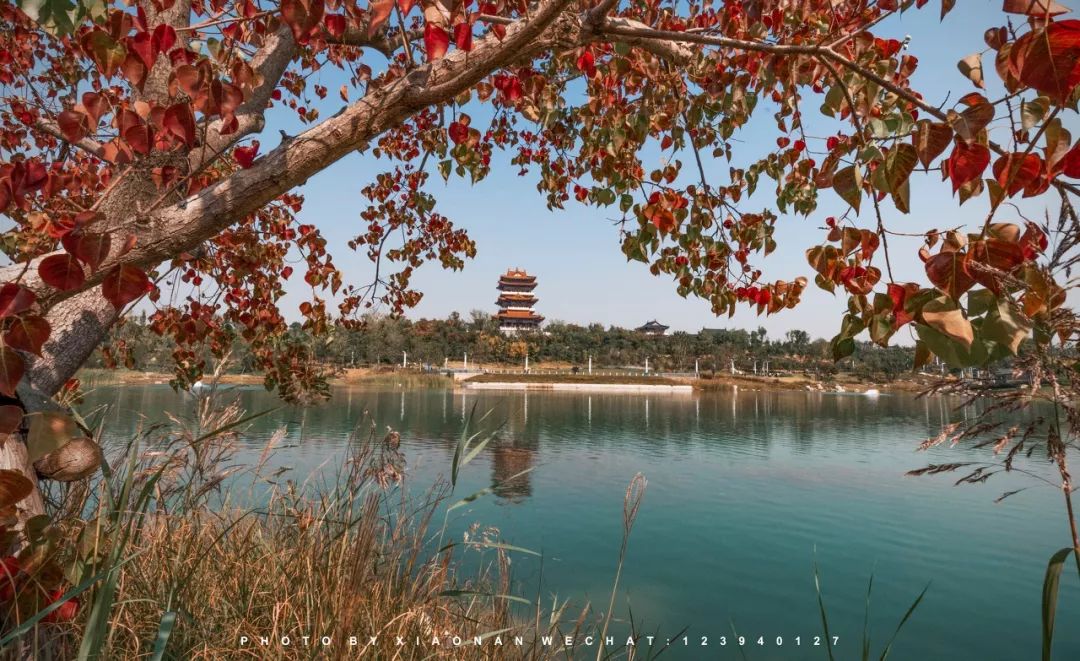 郑州中秋之夜哪有活动 (郑州中秋节剧场)