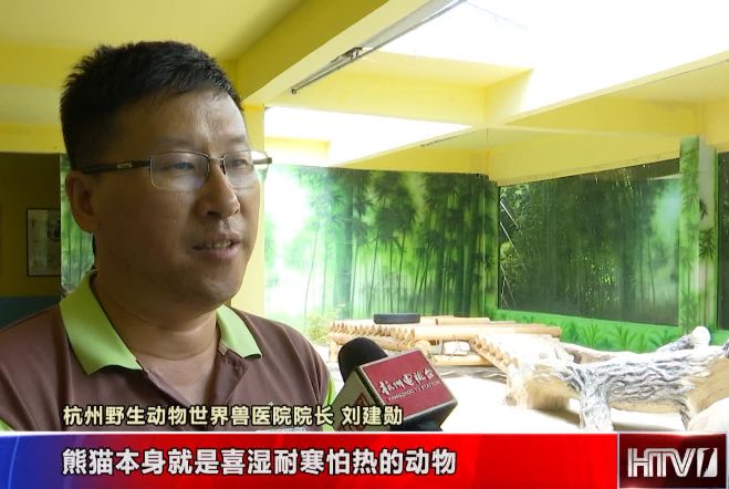 娴锋磱鍔ㄧ墿閬挎殤绂忓埄,鍔ㄧ墿閬挎殤楂樻俯绂忓埄