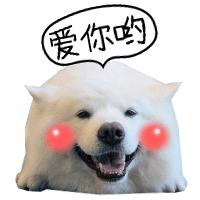 娴锋磱鍔ㄧ墿閬挎殤绂忓埄,鍔ㄧ墿閬挎殤楂樻俯绂忓埄