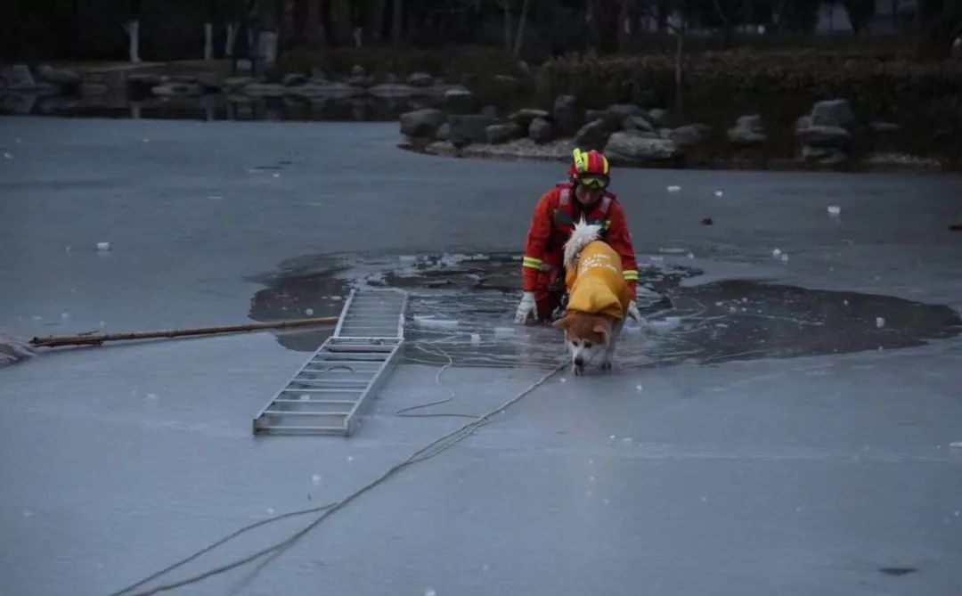 消防员才是人们心目中真正的超人,万能的消防员比什么都有安全感
