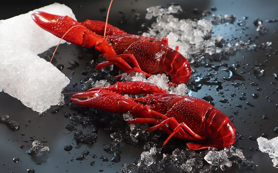 夏季上海海鲜大餐,上海美味海鲜自助餐