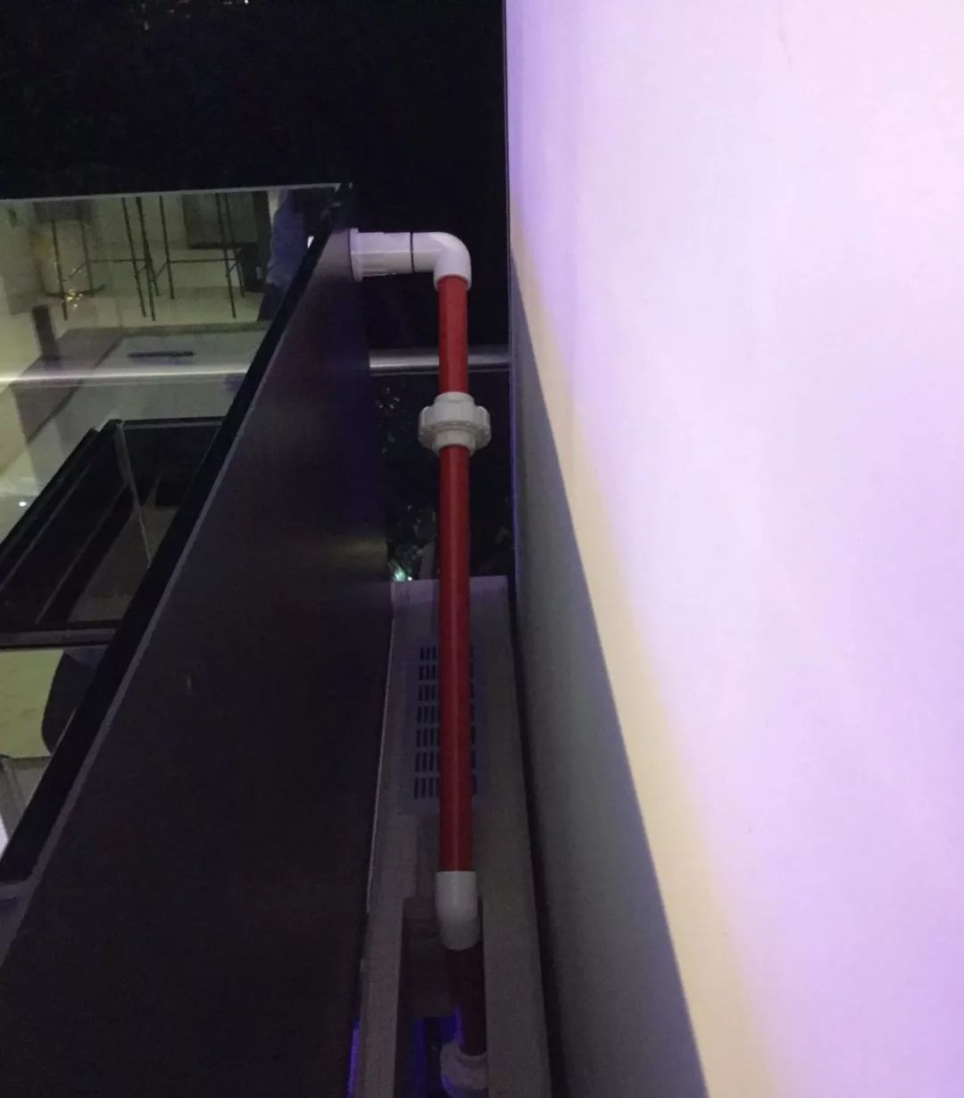 新开缸每天都有鱼死,新开缸鱼一直死