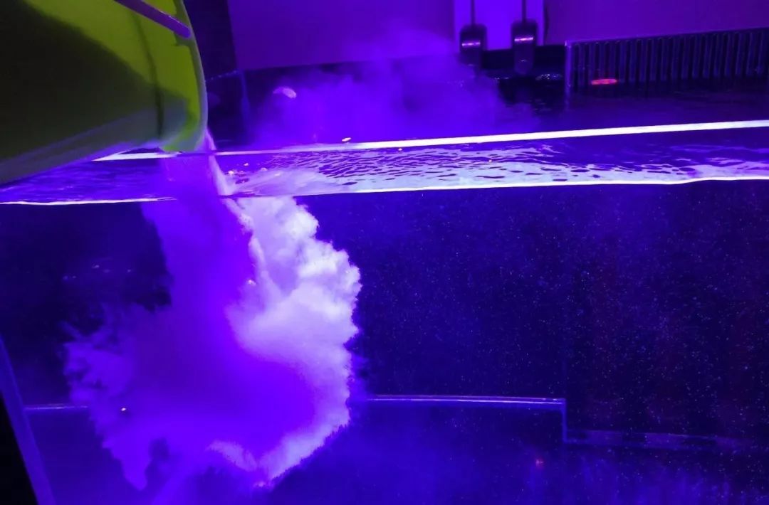 新开缸每天都有鱼死,新开缸鱼一直死