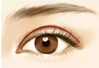 大医生来啦直播,大医生来了完整版视频