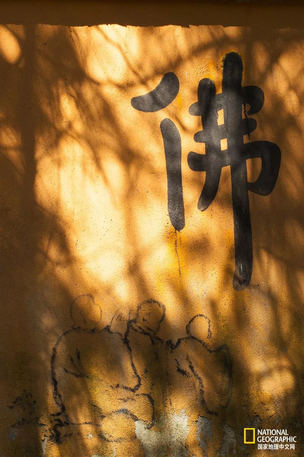 南京紫金山灵谷寺萤火虫,南京灵谷寺哪里可以看到萤火虫