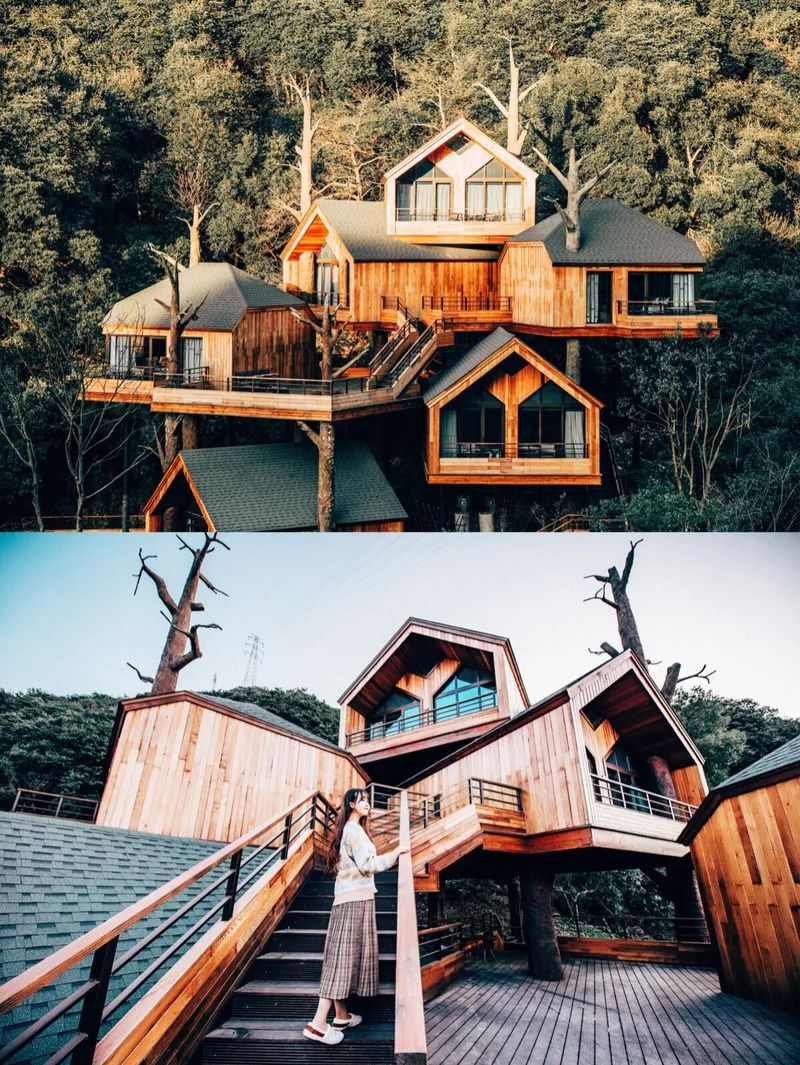 全球最受欢迎树屋酒店｜夜晚坠入大自然的梦乡，清晨在森林的枝桠间醒来