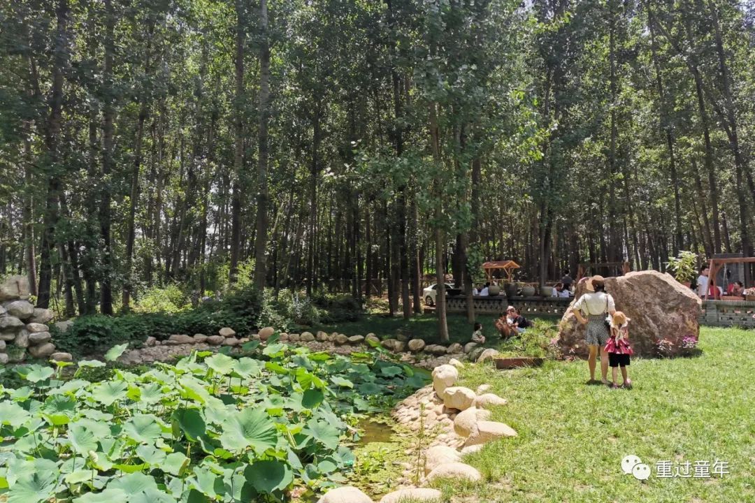 值得一去的农家乐推荐,山间农家乐值得去吗