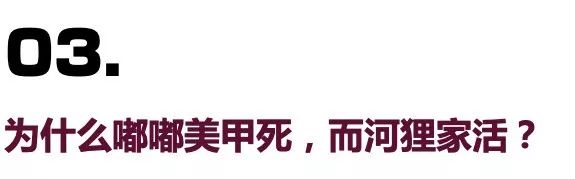 全案解析克丽缇娜、进巍、河狸家、InNail、美甲帮…揭秘美甲跨行业大乱战