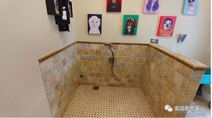 FUN||不开心？不如看沙雕网友的倒霉日常开心一下吧哈哈哈哈哈哈