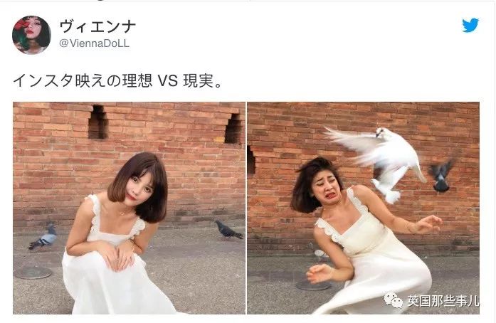 鐖嗙瑧娌欓洉鏃ュ父鍊掗湁鍚堥泦,鏃ュ父鍊掗湁鎼炵瑧娌欓洉瑙嗛