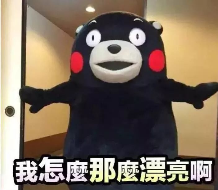 有个逗逼老师什么体验,一个逗逼老师的生活日常