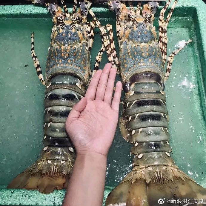 湛江有没有好景点,湛江有没有什么景点