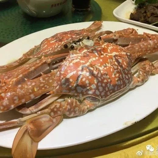 湛江有没有好景点,湛江有没有什么景点