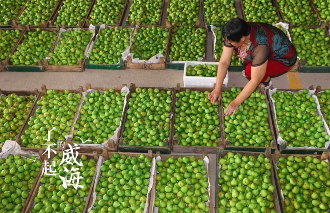 浜嗕笉璧风殑濞佹捣,浜嗕笉璧风殑濞佹捣浠婃棩澶存潯