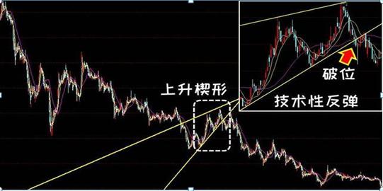 一个猴子的故事大全,一个猴子真实故事