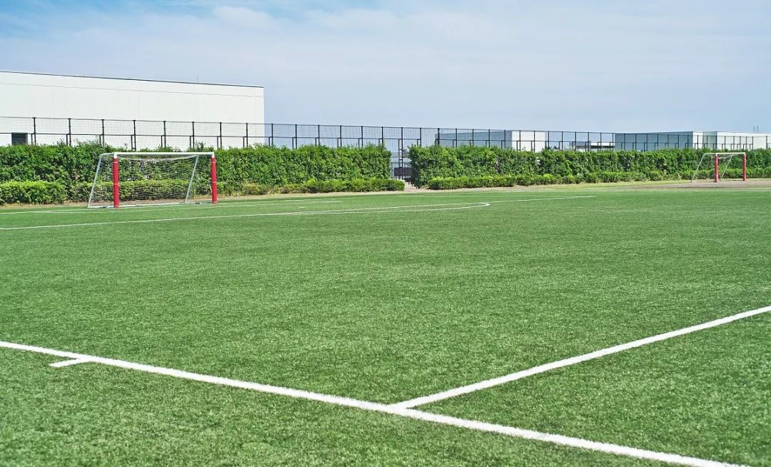 宁夏银川免费足球场,扩散宁夏下发最新通知