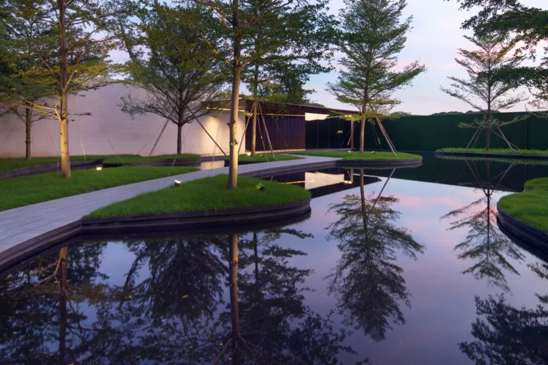 石语慕松林,水苑倾闻荫|广州保利·花城纪