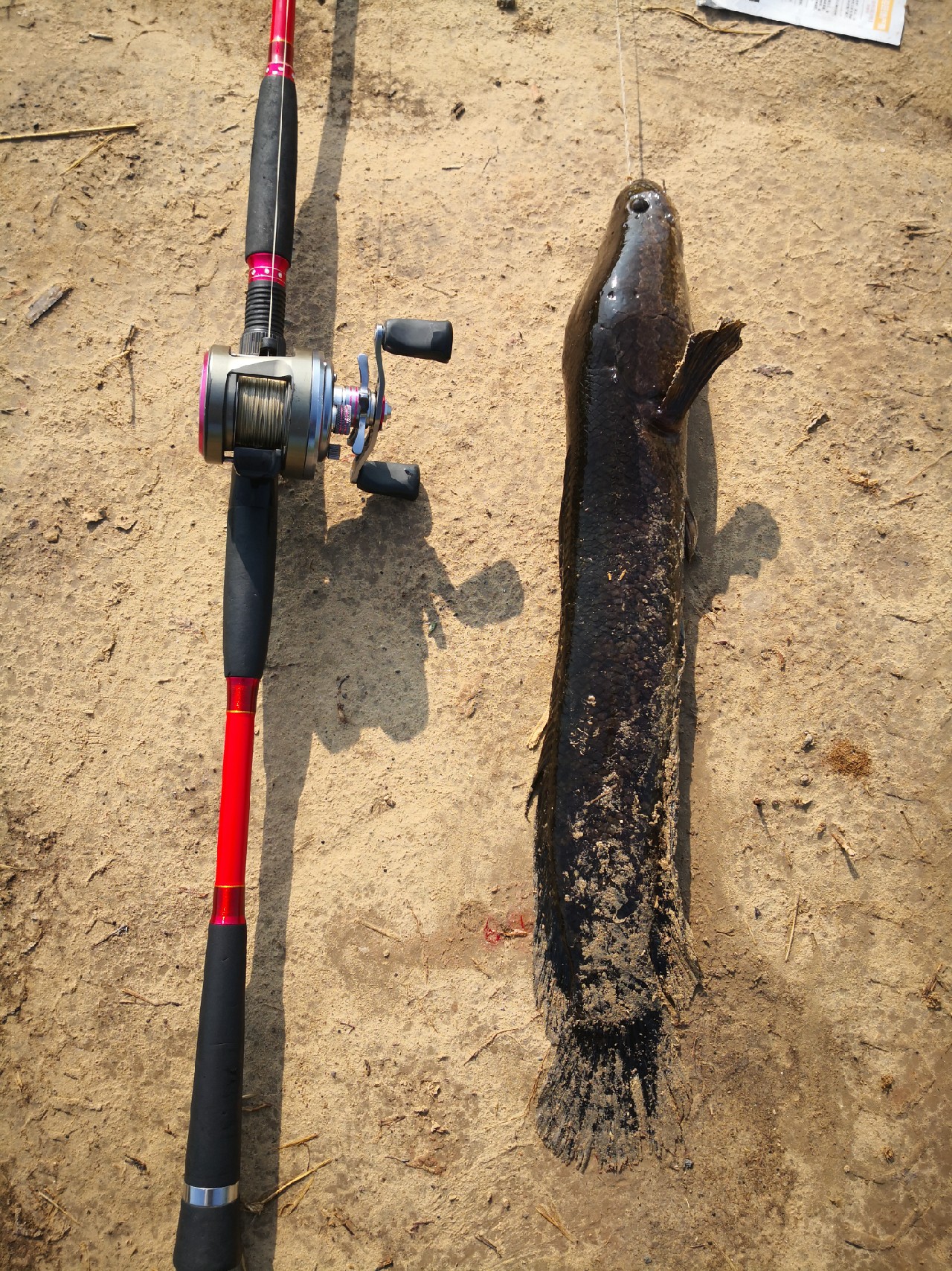 廉颇老矣尚能饭否下句,廉颇老矣尚能饭否下一句神回复