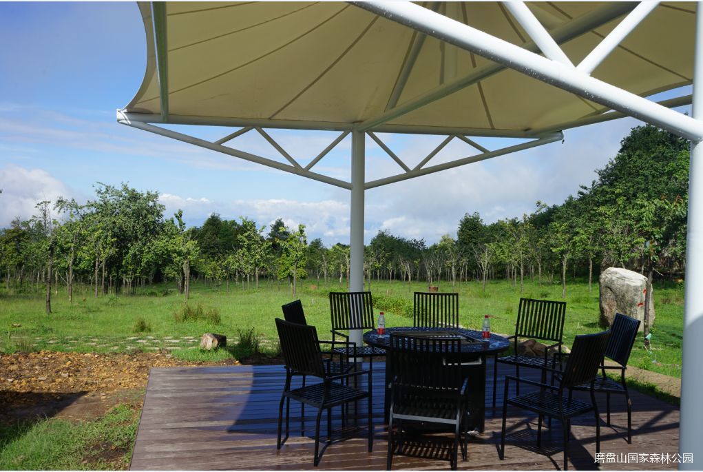 火爆热闹的烧烤,火热地带烧烤