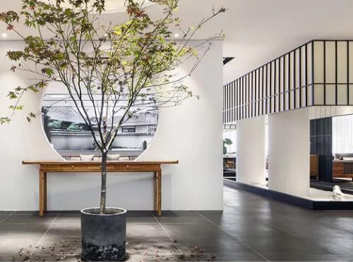 青舍行走|大城隐士张军的「自在」路