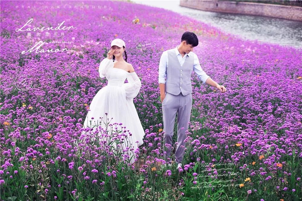 纽约周年庆,纽约时代广场周年庆