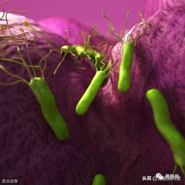 网上说幽门螺杆菌是胃癌的元凶，我查出来阳性，但没有症状，会不会得胃癌？要不要治疗？