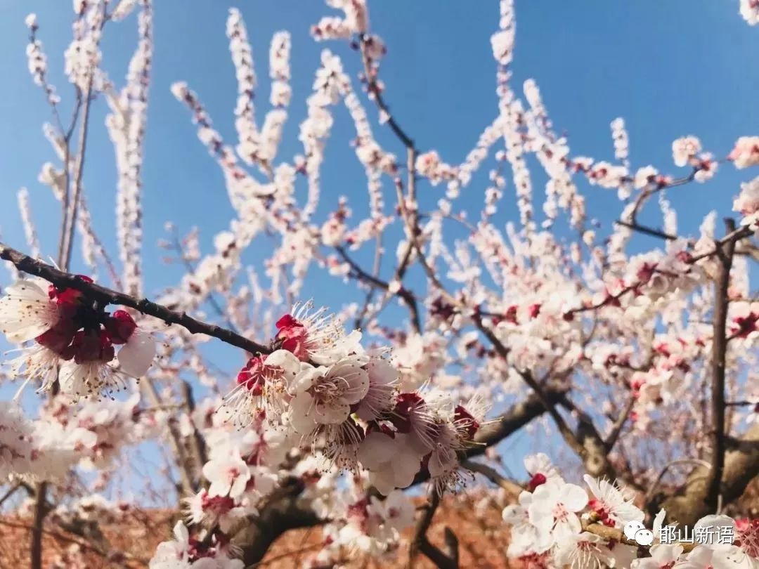 一分钟了解邯郸邯山区,邯郸邯山区介绍