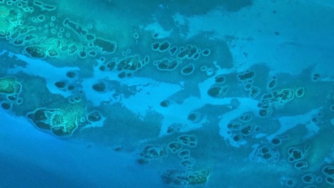 惊掉网友下巴的画面,豆瓣9.1分令人绝望