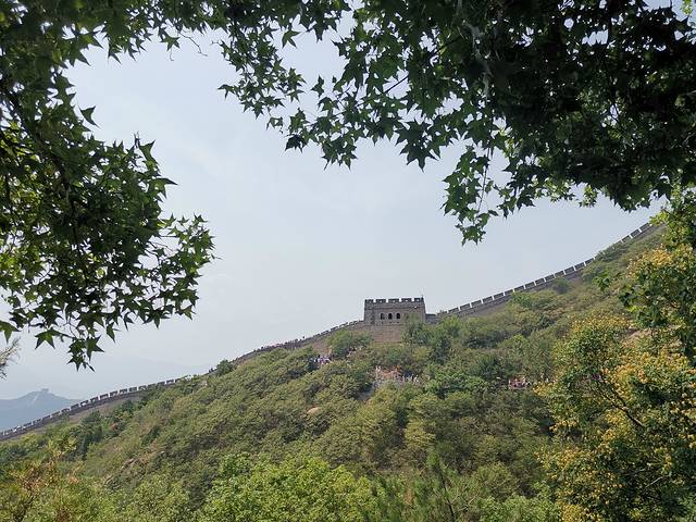 一家老小向前冲3,一家老小向前冲40集免费